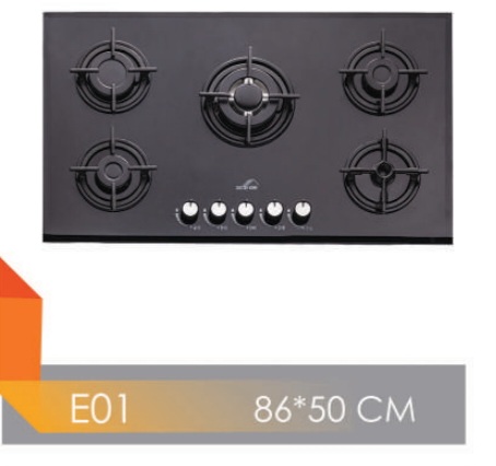 گاز مستر هوم. E01